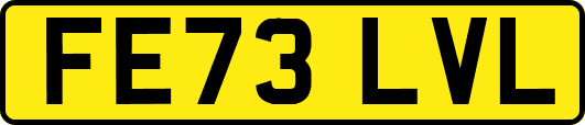 FE73LVL