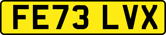 FE73LVX