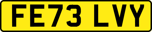 FE73LVY