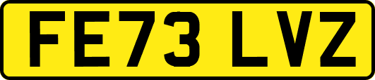 FE73LVZ