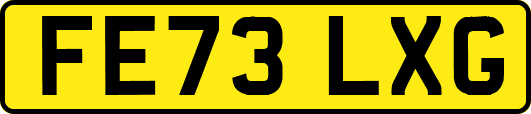FE73LXG