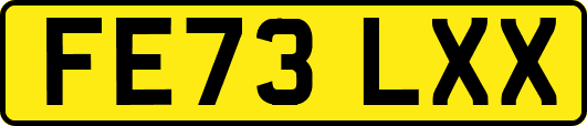 FE73LXX