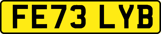 FE73LYB