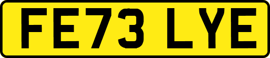 FE73LYE