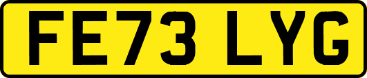 FE73LYG