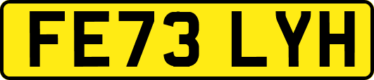FE73LYH