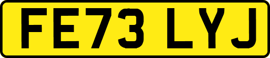 FE73LYJ