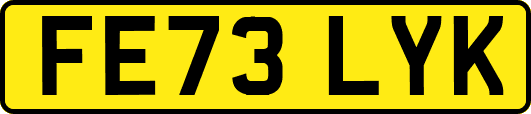 FE73LYK