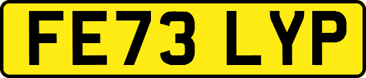 FE73LYP