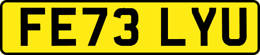 FE73LYU