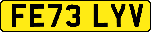 FE73LYV