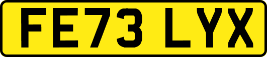 FE73LYX