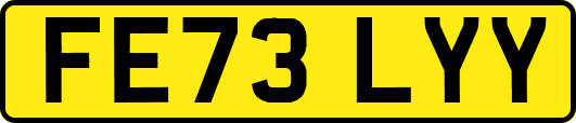 FE73LYY