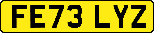 FE73LYZ