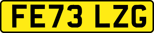 FE73LZG