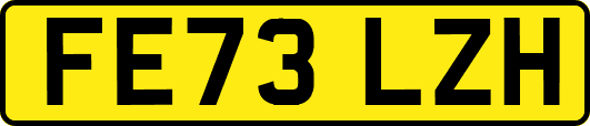 FE73LZH