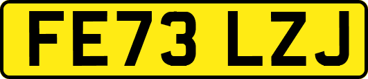 FE73LZJ