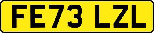 FE73LZL