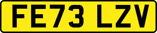 FE73LZV