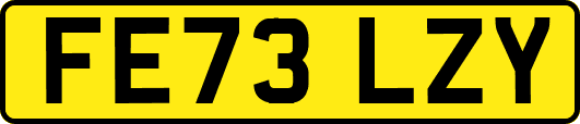 FE73LZY