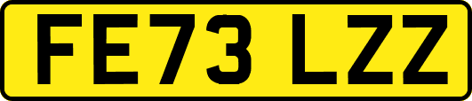 FE73LZZ