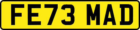 FE73MAD