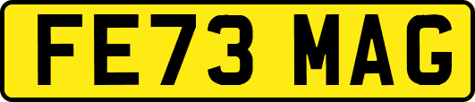 FE73MAG