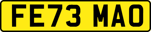 FE73MAO