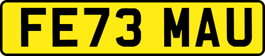 FE73MAU
