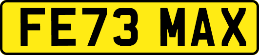 FE73MAX