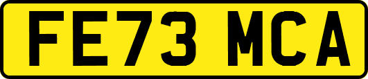 FE73MCA