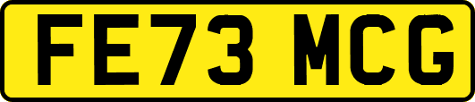 FE73MCG