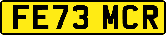 FE73MCR