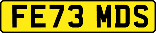 FE73MDS
