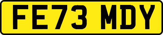 FE73MDY