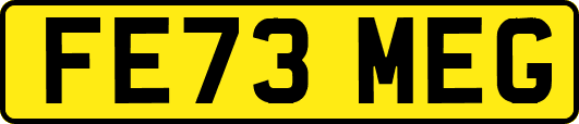 FE73MEG