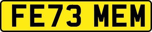 FE73MEM
