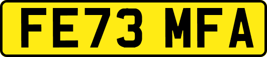 FE73MFA