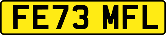 FE73MFL