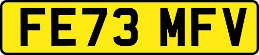 FE73MFV