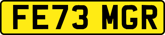 FE73MGR