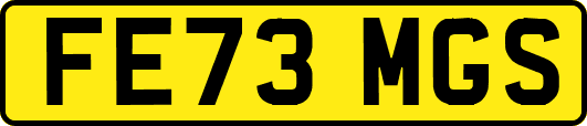 FE73MGS