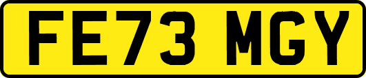 FE73MGY