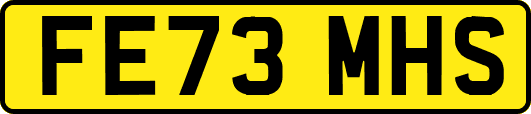 FE73MHS