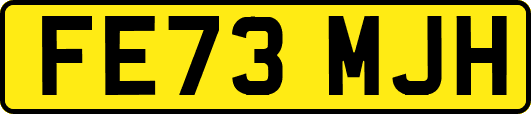 FE73MJH