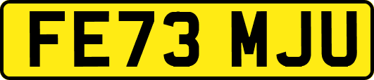 FE73MJU