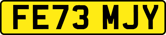 FE73MJY