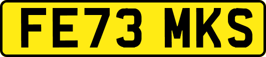 FE73MKS