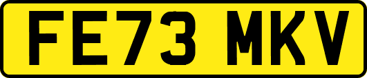 FE73MKV