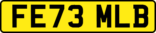 FE73MLB